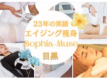 ソフィア ミューズ 目黒