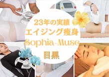 ソフィア ミューズ 目黒