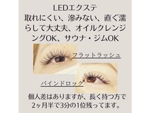 カルプマレ(carpe Marais)の雰囲気（当店大人気のLED×バインドロック（まつ毛エクステ））