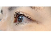 ペルシャ(Persian)/ラッシュリフト【若葉/鶴ヶ島】