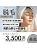 7、8月限定！！【痛みの少ない脱毛】＊顔脱毛