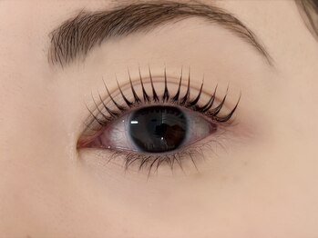 ルピナス 川口(Lupinus)/パリジェンヌラッシュリフト