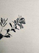 オリーブ/店内（ディスプレイ）