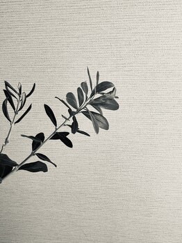 オリーブ/店内(ディスプレイ)