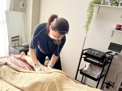 シュシュ(chouchou)の写真