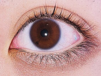 エクラアイラッシュ(eclat eyelash)の写真/感動の仕上がり！逆まつげ/下がりまつげもビューラー要らずでコンプレックスを解消し魅せられる目元に◎