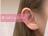 耳つぼジュエリー♪片耳10粒までつけ放題　※資格保持者担当