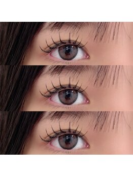 アールドヴィーヴル 小松(Ar de vivre)/フラットマットラッシュ１２０本