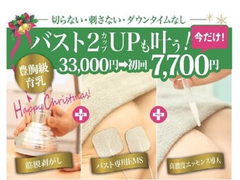 美人バスト 旭川店