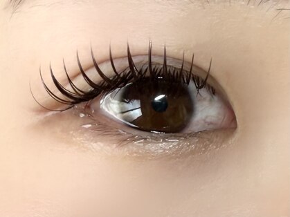 Lily 渋谷店 パリジェンヌ/LED/パリエク/アイブロウ/長さ出し/スカルプ/パラジェルの写真