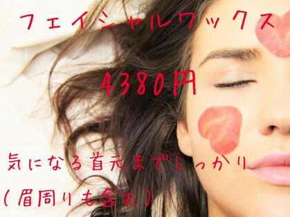 ビーデル(Wieder)の写真