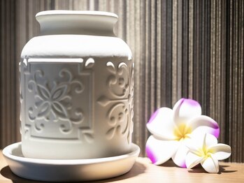 プラスボディ(+Body)/