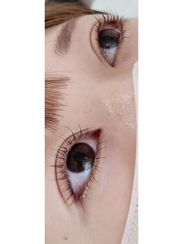 コア(Koa)/上下パリジェンヌ+ティント