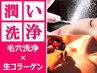 <フェイシャル>【毛穴洗浄×生コラーゲン+デコルテリンパ60分￥4400】