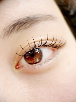 ムニ(muni)/LEDフラットラッシュ140本