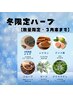 【数量限定☆冬限定ハーブ】よもぎ蒸し(30分)+よもぎ茶付