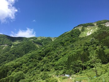 ひなた療術所/ハーブの聖地伊吹山
