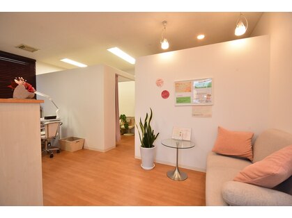 シェリ(cheri)の写真