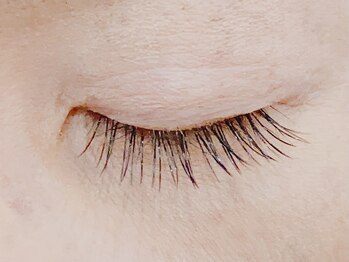 ティンク港南台 アイラッシュアンドネイル (Tink eyelash&nail)/フラットラッシュ100本