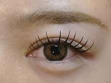 カリナ(Carina)/フラットマットラッシュ140本