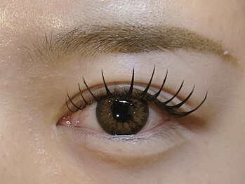 カリナ(Carina)/フラットマットラッシュ140本