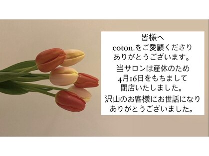 コトン(coton.)の写真