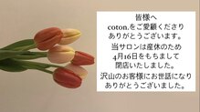 コトン(coton.)