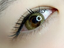 ラヴィアスプラス(LAVIAS+)/フラットラッシュ/上下