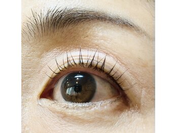 マックス(MAX)/大人のまつパ