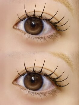 シイプ(SHE:P)/にしうち担当◆フラットラッシュ