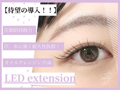 サニーラッシュ(32Lash)の写真