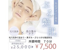 ジュエリースキン(JewelrySkin)