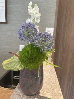 イアソ(IASO)/今週のお花