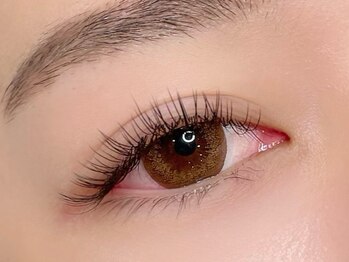 シル シェノン(cil shenon)/フラットラッシュ140本