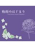 梅雨のはじまり 美輪限定 RESET CARE 75分¥9,500 → ¥7,800→限定価格