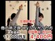 スタジオ909の写真