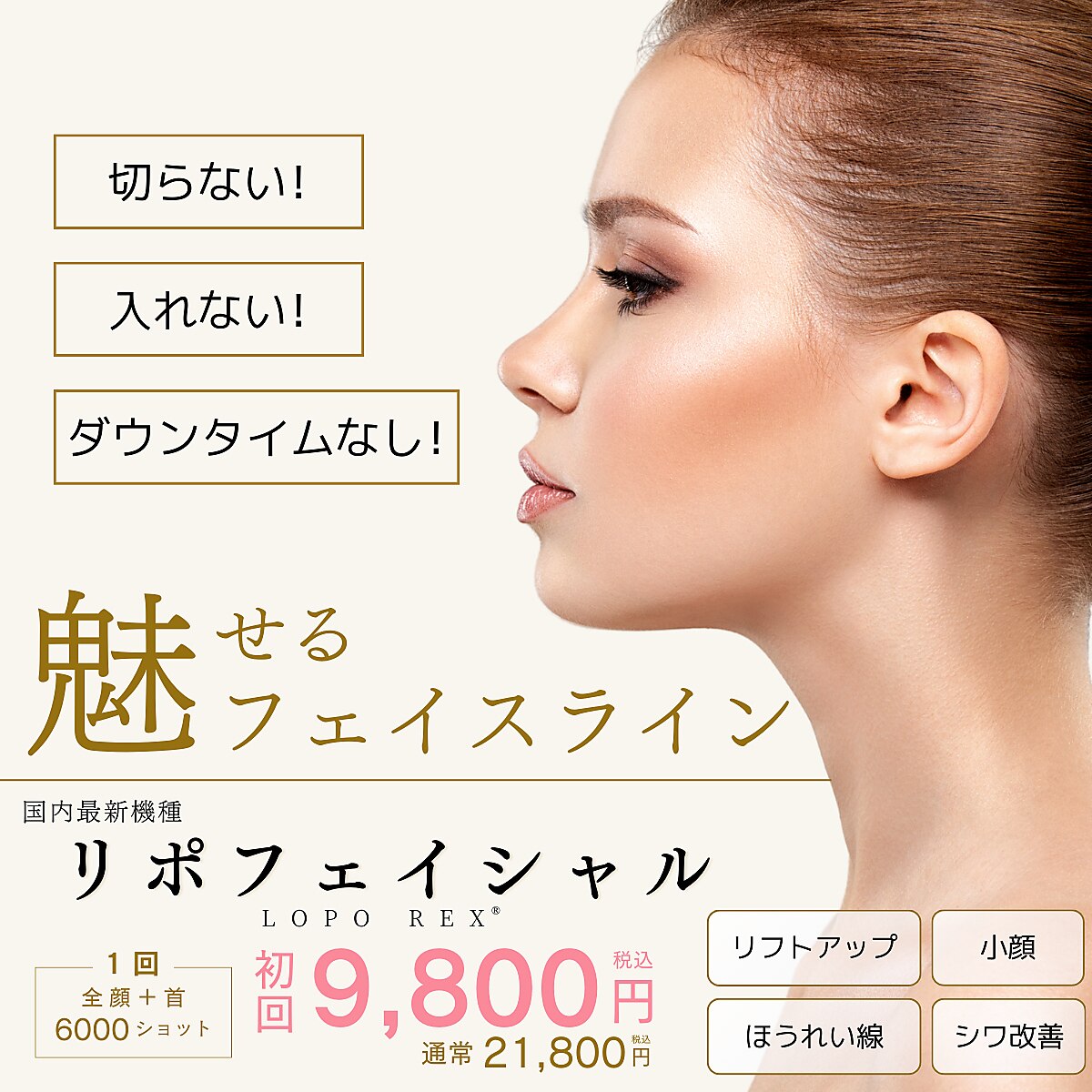 大人気ハイフ✨５Dクリニカルハイフ✨ 大人気ハイフ✨5Dクリニカルハイフ✨ Lisa's Beauty | LISA美容用品