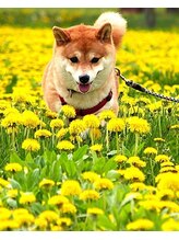 もみのて 八幡穴生店 ふじ (女性)