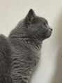 ベルスキン(Bell skin)&nbsp;愛猫ちゃん
