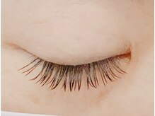 ティンク港南台 アイラッシュアンドネイル (Tink eyelash&nail)/フラットラッシュ100本
