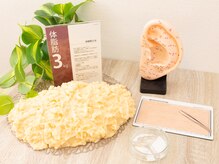 アオ(ao)/耳つぼ施術