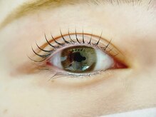 ゼロプラス(Zelo+)/まつげパーマ上