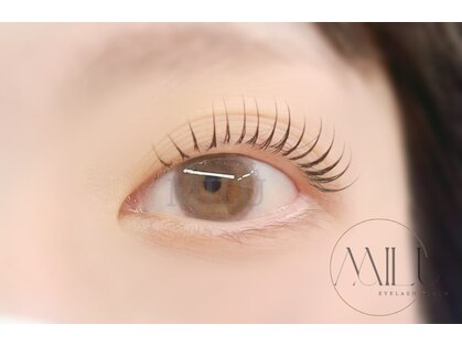 ミル(MILU)の写真