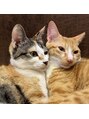 スピードネイル アンド アイ 宮交シティ店&nbsp;猫派です♪実家で飼っている猫です(^^)