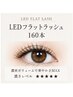 【高持続★】LEDフラットラッシュ160本持続力UP¥9,500→¥8,500