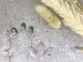 平日初回ジェルオフ込7600円