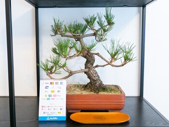 ベル(BeL)/9. 【お会計・次回予約】