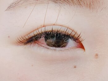 ティンク港南台 アイラッシュアンドネイル (Tink eyelash&nail)/フラットラッシュ160本