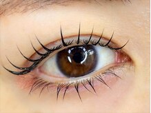 ゼロプラス(Zelo+)/まつげパーマ上下