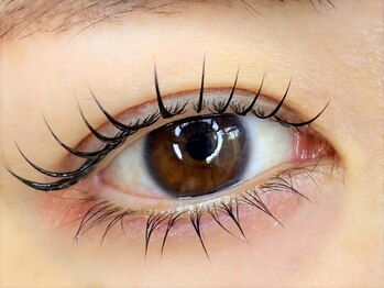 ゼロプラス(Zelo+)/まつげパーマ上下